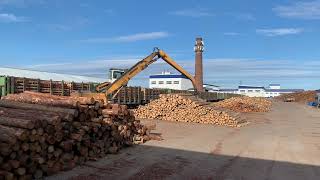 Разгрузка вагонов с лесом погрузчиком / Unloading of wagons with timber loader