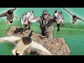THIS WAS INSANE!!!! | Solo Kayak Duck Hunt