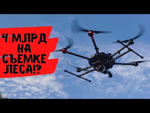 Как заработать 4 миллиарда на съемке леса?!