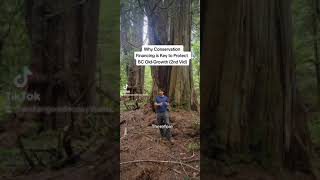 Conservation Financing and Protecting Old-Growth Forests in BC (2nd Video)