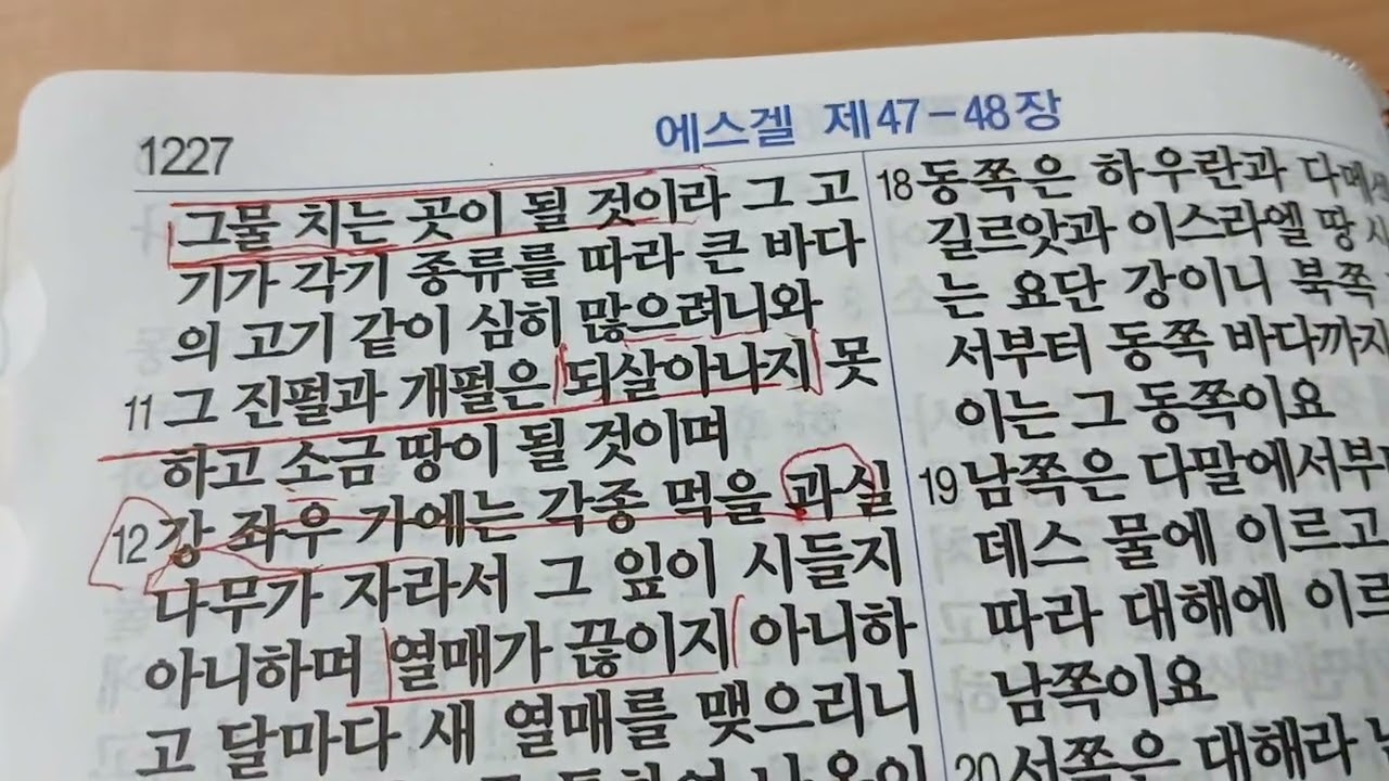 2026년 2월 21일