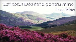 Album (4) Ești totul Doamne - Puiu Chibici