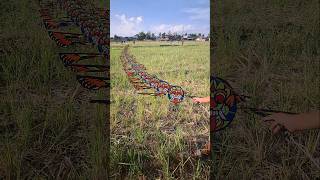layangan naga motif buto melet dm25 #layangan
