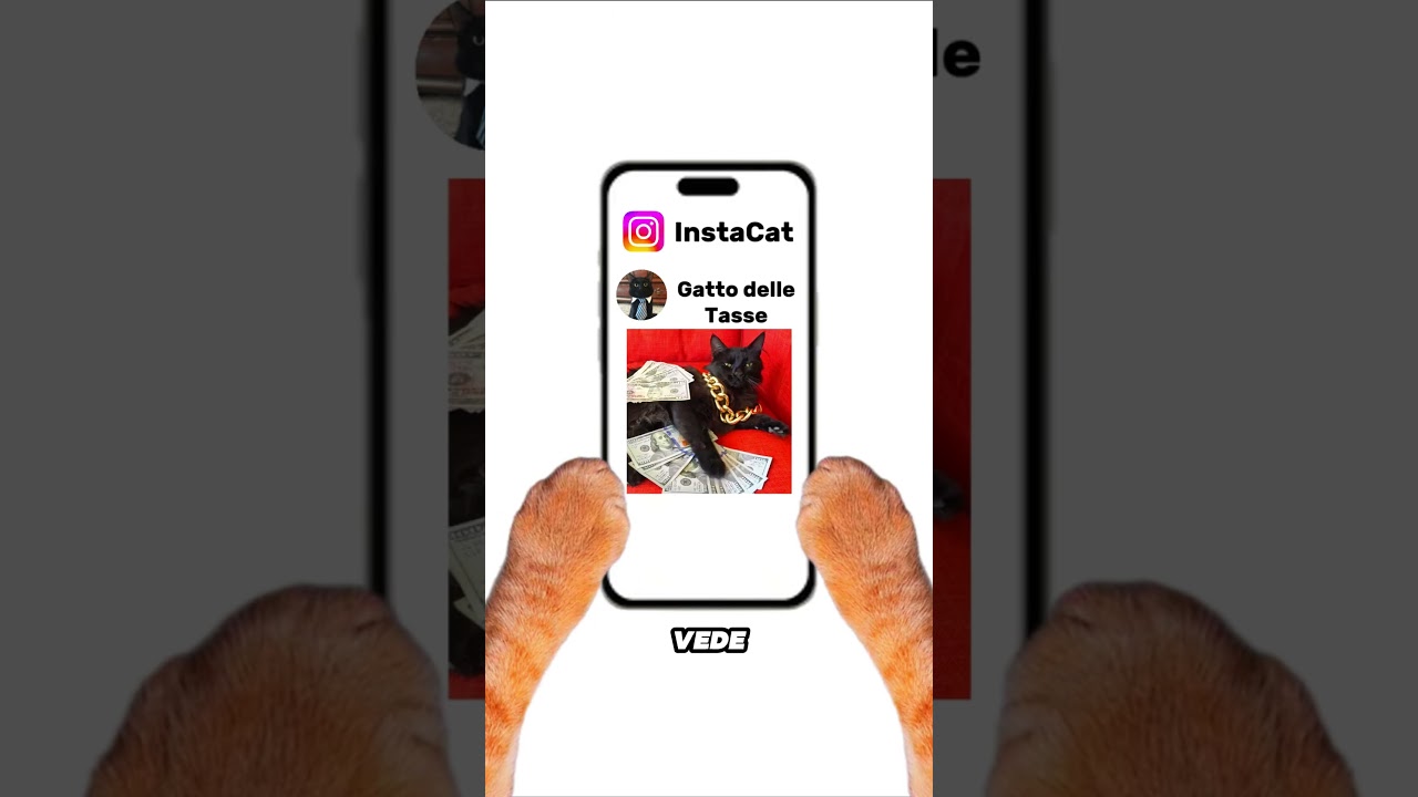 FOMO spiegata da Grattino