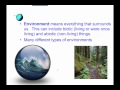 Ecology and Ecosystems Quiz