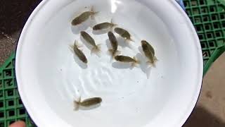 DSCF7348