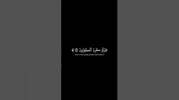 اكتب شيء تؤجر عليه 😊❤️القرآن الكريم شاشة سوداء #المصحف #اكسبلور #راحة_نفسية #الرحمن