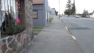 Myrtle Creek Oregon, AR-15 Open Carry