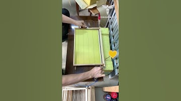 Maybe the most efficient way to insert your thin sheets of wax into honeycomb wired frames is to use