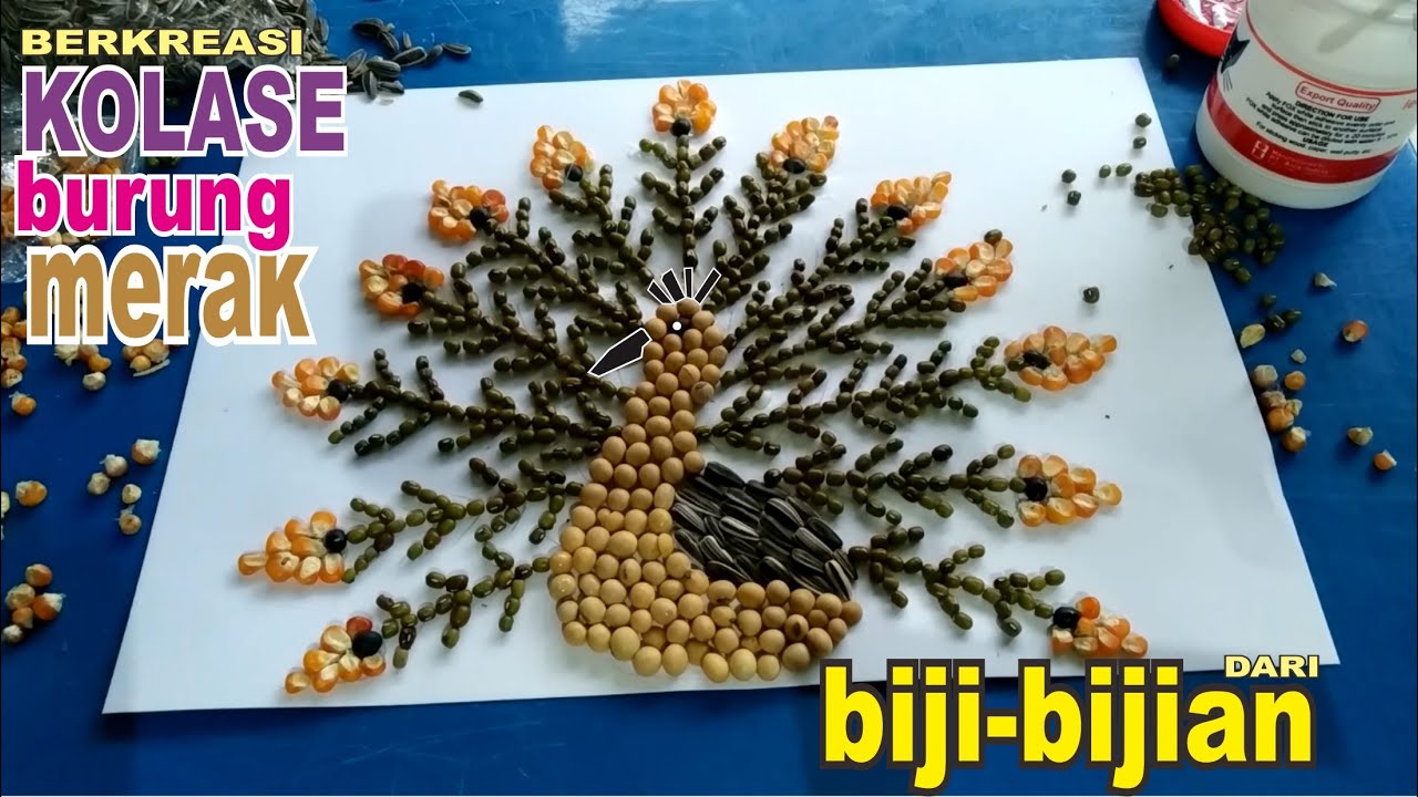 930+ Gambar Burung Merak Untuk Kolase HD Terbaru