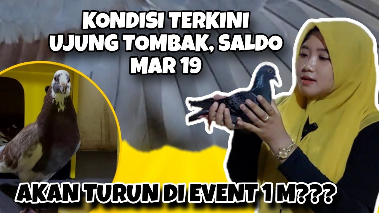 REVIEW ALATAN PLAYER DAN PIYIKAN TIM MAR  19 - UJUNG TOMBAK DAN SALDO ???