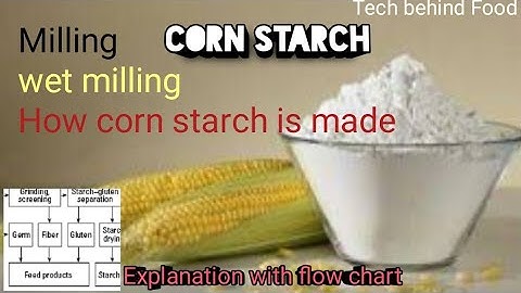 Corn starch production. How corn starch is made  Wet milling of corn starch Milling steps explained