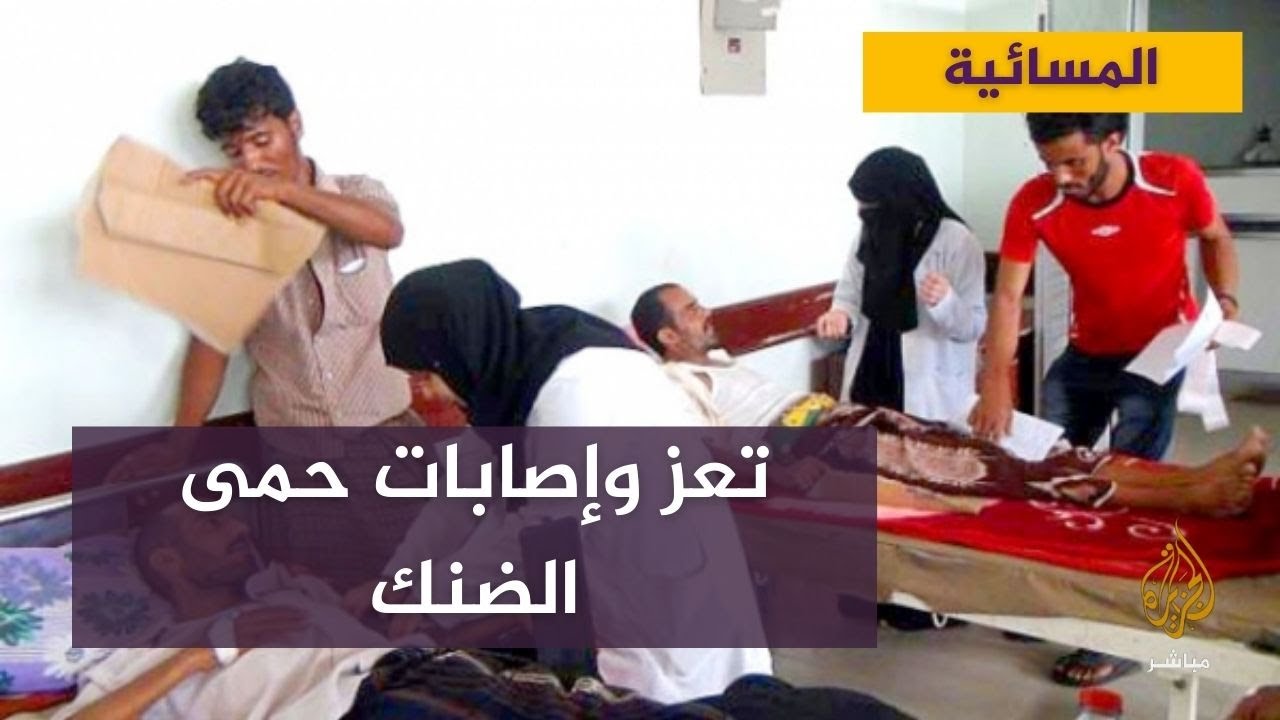محافظة تعز اليمنية تسجل أكثر من ثمانية آلاف حالة إصابة بحمى الضنك