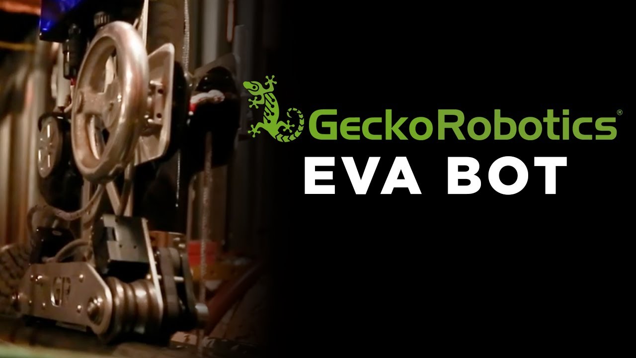 Build A Bot Gecko Instructions Build A Bot Gecko Instructions