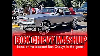 Box Chevy Fest! Some of the dopest Box Chevrolets in the Country - Chevy, Box, Landau, Aerocoupe.