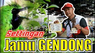 SIMAK SETTINGAN JAMU GENDONG UNTUK CUCAK IJO MANFAAT JAMU GENDONG CARA MEMBUAT JAMU GENDONG HoBi ID