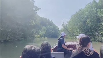 Trải nghiệm đi cano vòng quanh rừng sác cần giờ