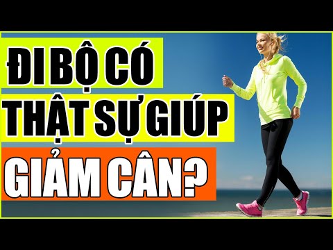 Video: Đi Bộ để Giảm Cân: Lời Khuyên Cho Chó Thừa Cân