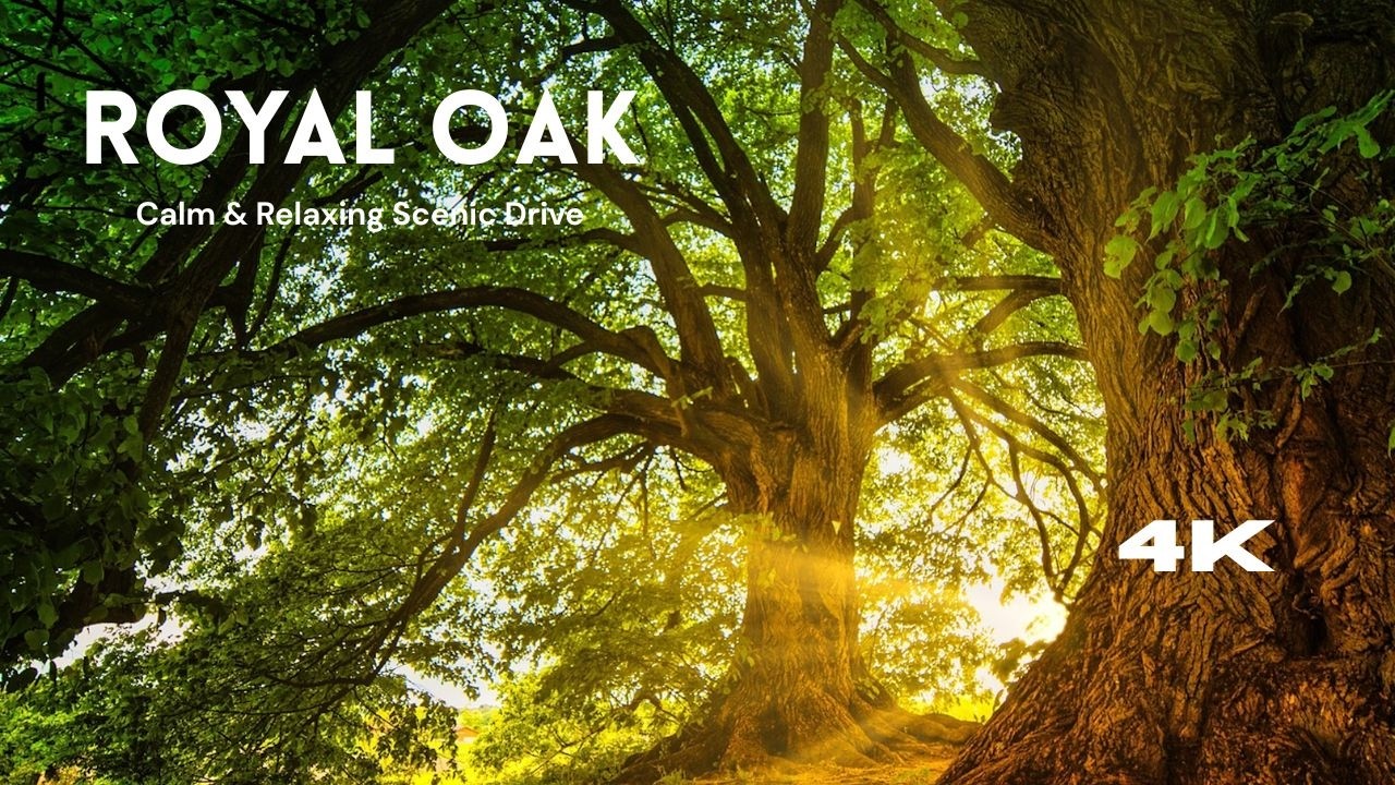 Royal Oak Station Drive | Westway A40 Route Guide 4K