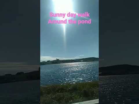 sunny day walk #bonavista #newfoundland #summer #fall #canada #travel #viral #vlog #canadian #vlog