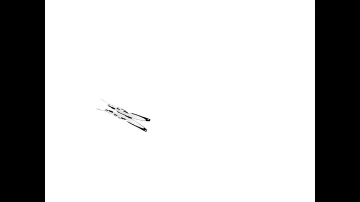 Butterfly Animation Exercise