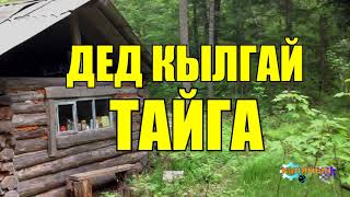 ДЕД КЫЛГАЙ | ЖИЗНЬ В ТАЙГЕ