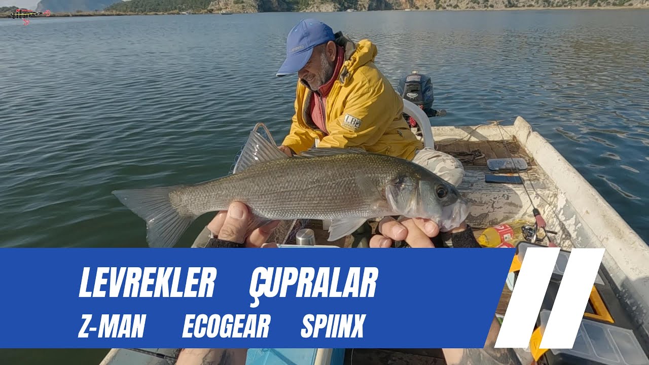 LEVREK VE ÇUPRA AVI