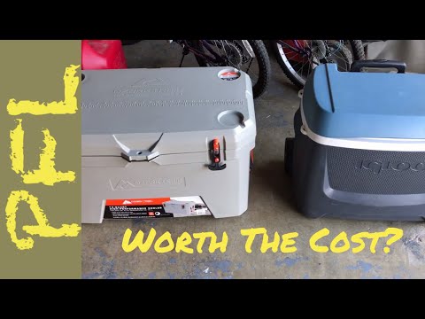 Worth The Cost?