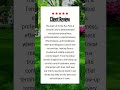 5-Star Review for Home Run Pest & Termite Control | Customer Testimonial