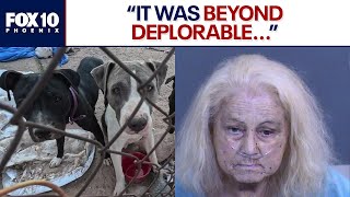 Litchfield Park woman accused of neglecting dogs | FOX 10 Phoenix