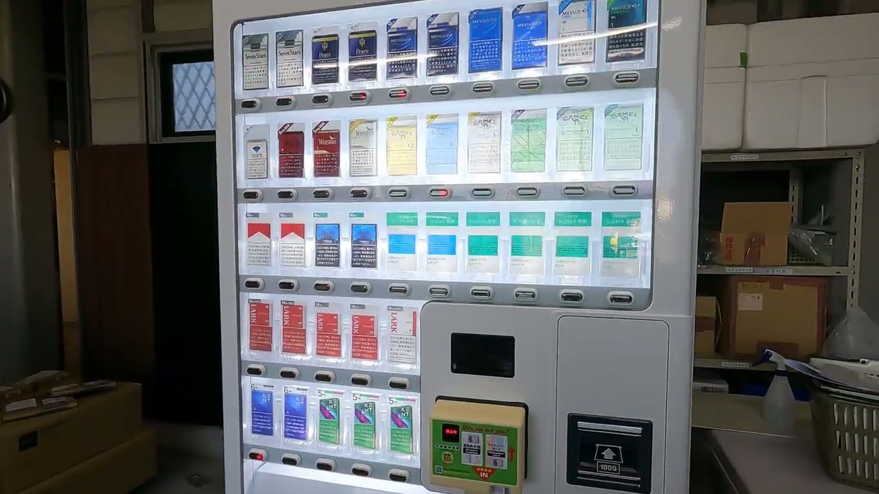 maxresdefault.jpg?sqp=-