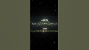 سورة الأحزاب|33-34|القارئ:#محمد_اللحيدان #قران #quran #راحة_نفسية #قران_كريم#تلاوة_هادئة#تلاوة_خاشعة