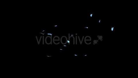 Butterfly Swarm - Blue Adonis - Pack of 2