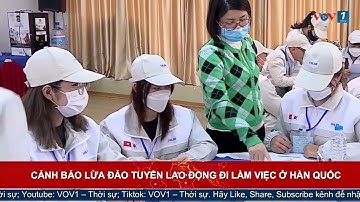 Cảnh báo lừa đảo tuyển lao động đi làm việc ở Hàn Quốc | VOV1