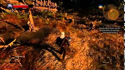 Witcher 3 Wild Hunt   Missing in Action   Where to find the Shields