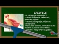 LA FÁBULA:2ºB