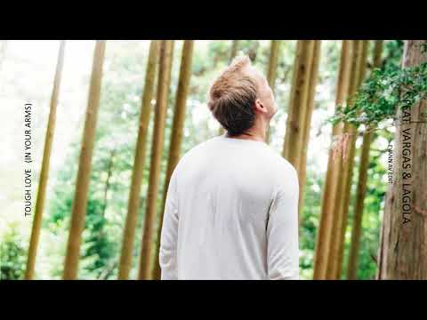 Avicii - Tough Love ◢ ◤ In Your Arms (Best Studio Version)