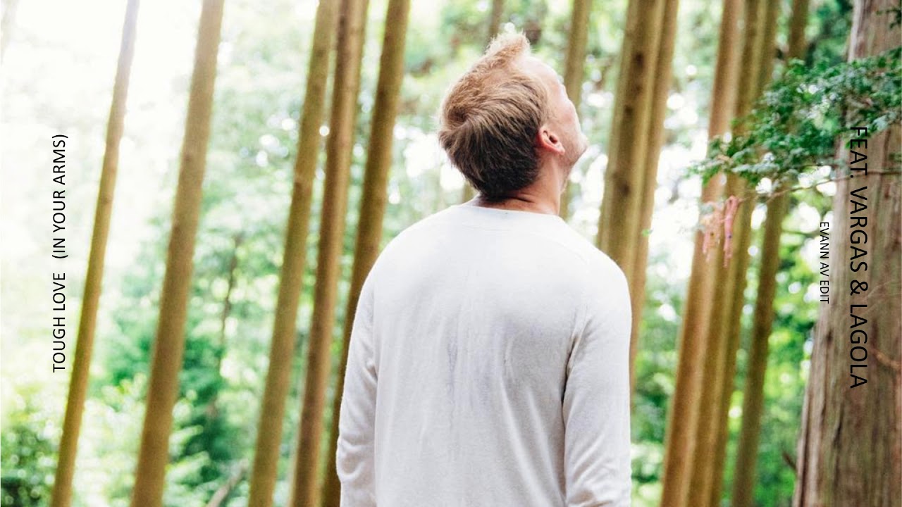 Avicii - Tough Love aka In Your Arms (Studio) ◢ ◤ Vargas & Lagola