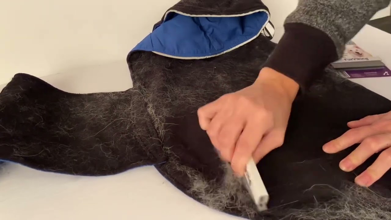 FurViking Pet Hair Removal Tool YouTube