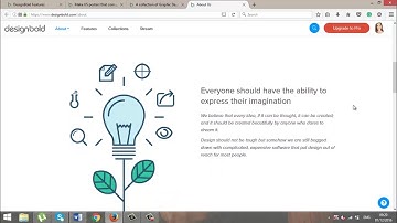 Who is DesignBold for ?