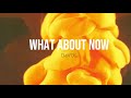D4VO5 What About Now Official Video mp3