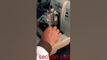 Beauty of  biopsy section cutting (Histopathology lab)