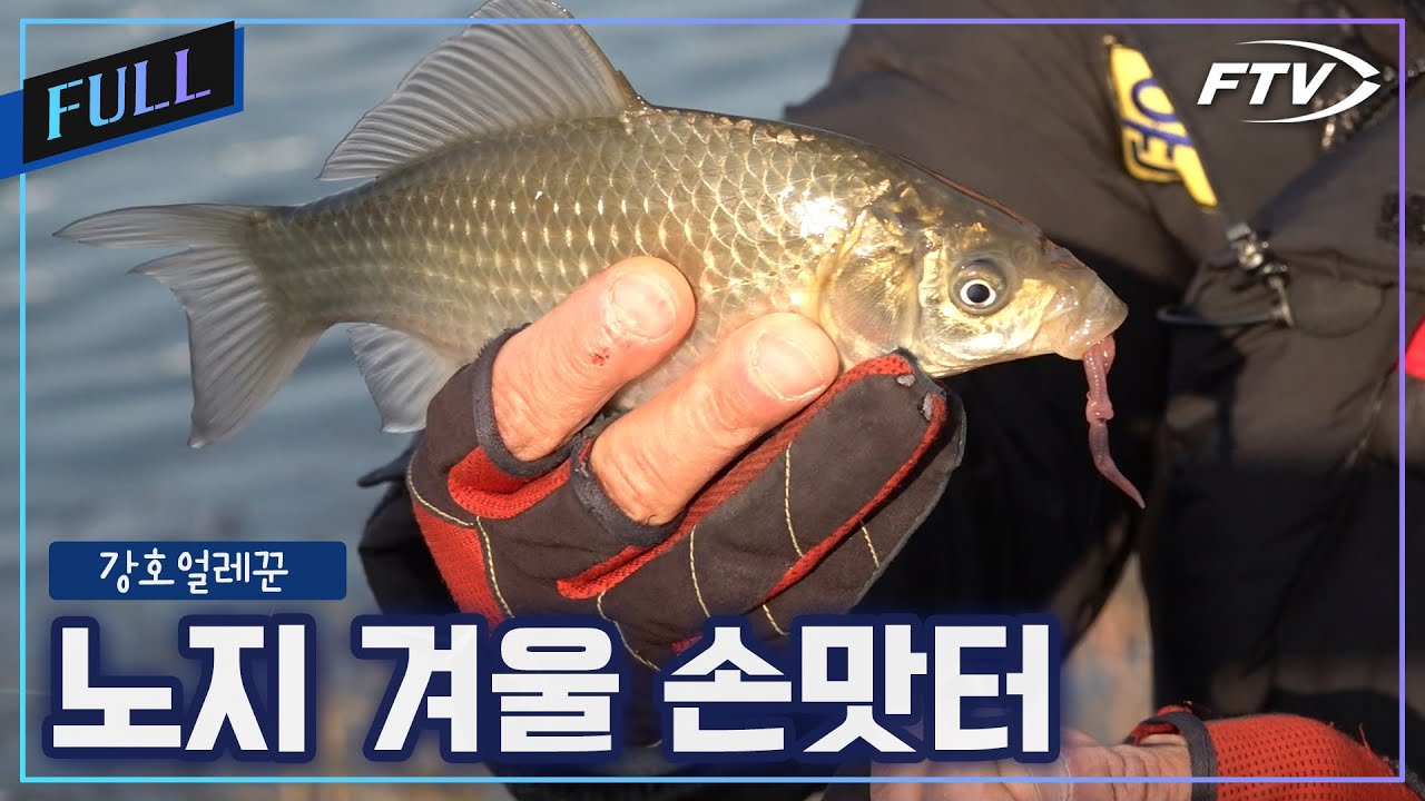 [Full]4짜도 막 나와주는 겨울 노지 손맛터[강호얼레꾼/42회]