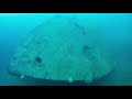 Wreck Diving in Norway: Minenräumschiff 26