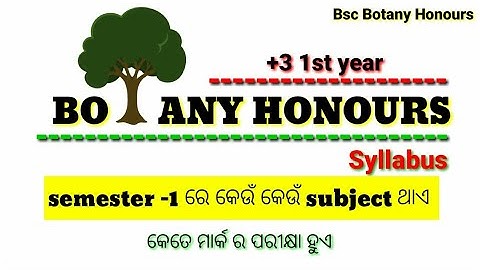 +3 1st year Botany Honours ll Semester-1 Syllabus with Subjects Details