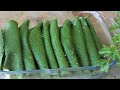 CREPES VERDI con SPINACI Ricetta crespelle verdi senza olio  crepes Verdi