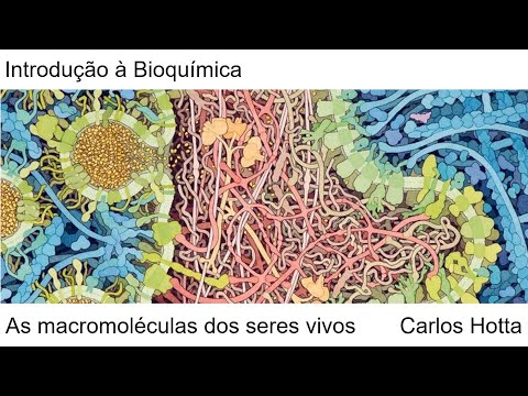 Vídeo: Do que é feita uma macromolécula?