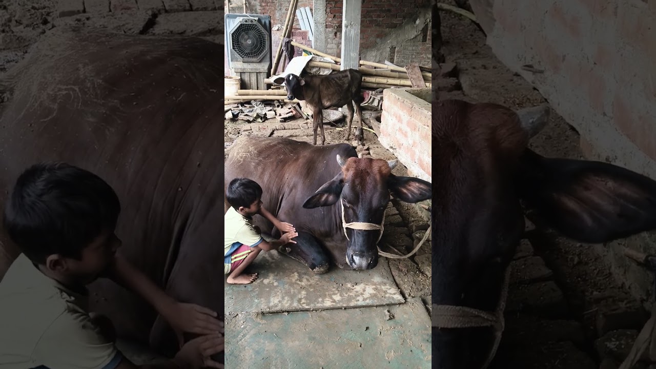 O Amma Amma 💞💐 