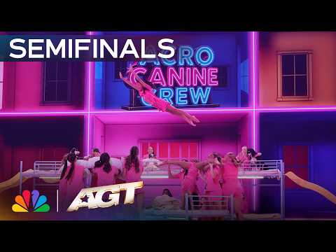 Acro Canine Crew Throws The ULTIMATE Sleepover! | Semifinals | AGT 2026