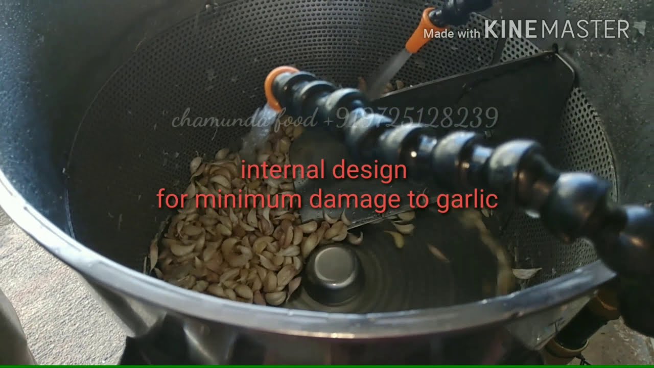 final design garlic peeler machine.